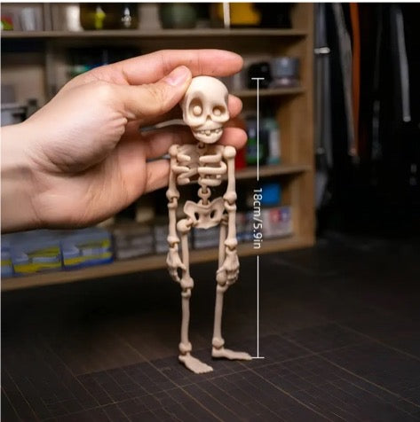 Skeleton Magnet