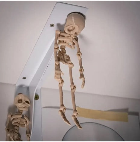 Skeleton Magnet
