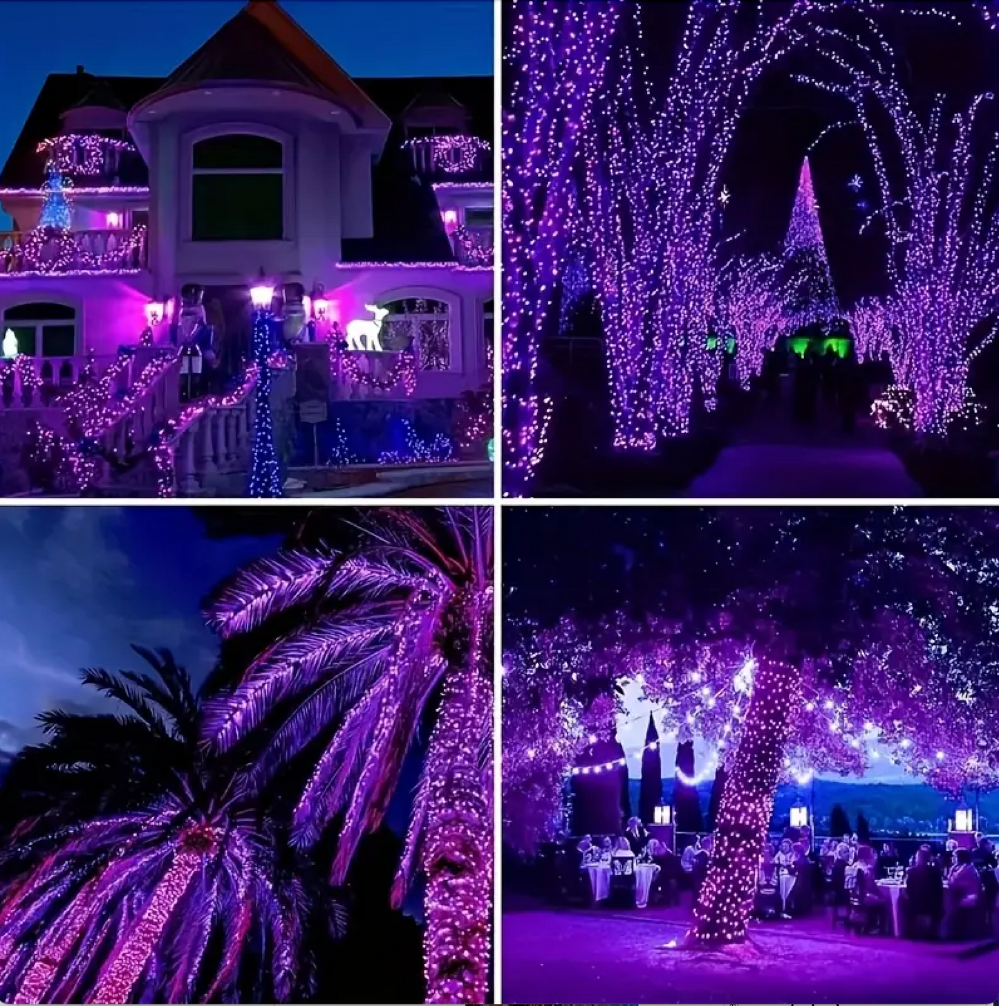 Purple LED Fairy Lights