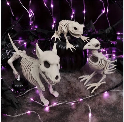 Animal Skeleton Decorations