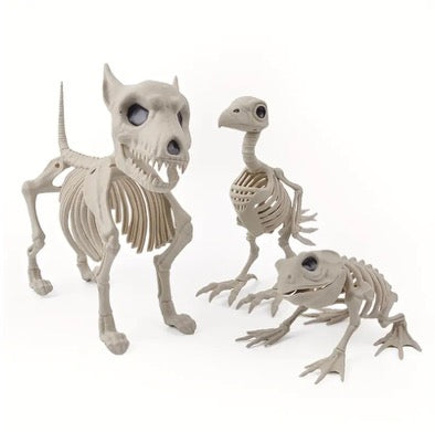 Animal Skeleton Decorations